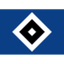HSV logo